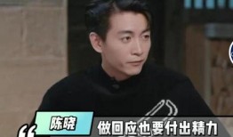 爆料娱乐圈陈晓,揭秘明星背后的故事